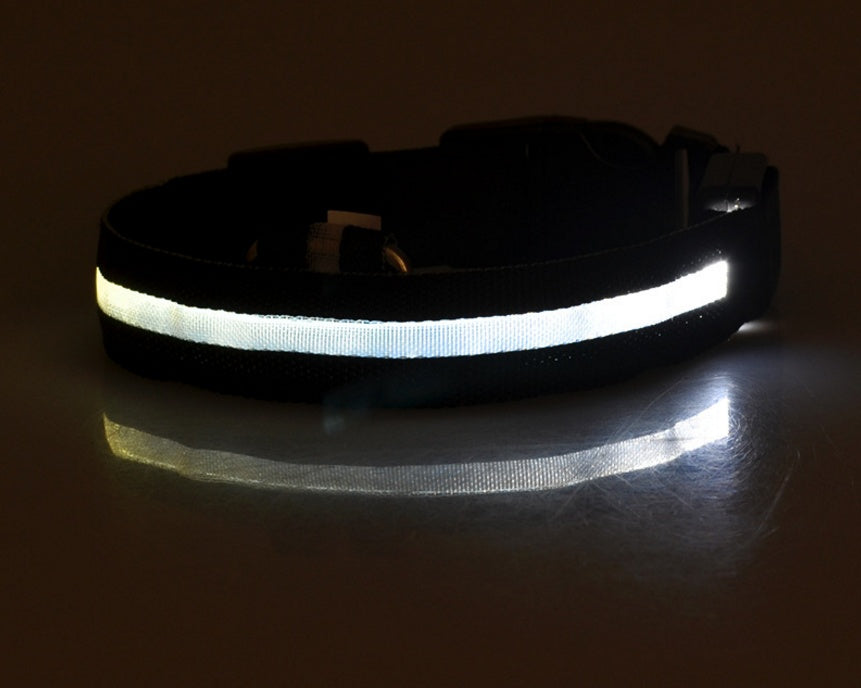 LED Luminous Dog & Cat Collar – Night Safety Flashing Glow
