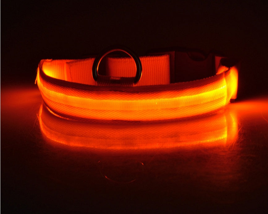 LED Luminous Dog & Cat Collar – Night Safety Flashing Glow