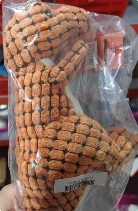 Dinosaur Plush Interactive Dog Toy – Squeaker & Chew Play