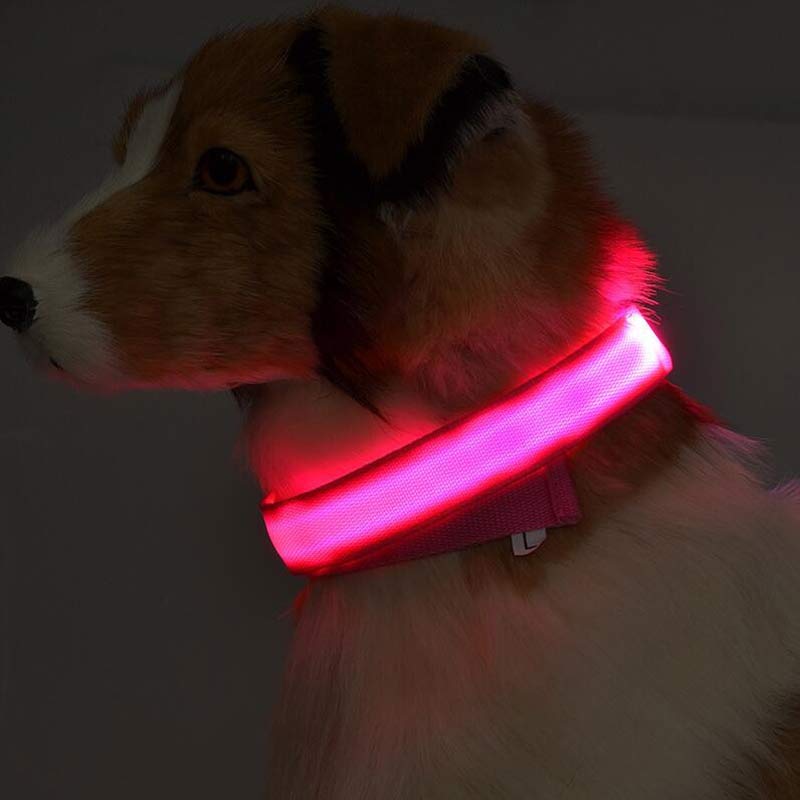 LED Luminous Dog & Cat Collar – Night Safety Flashing Glow