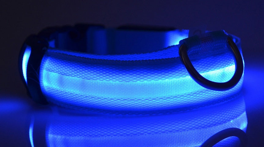 LED Luminous Dog & Cat Collar – Night Safety Flashing Glow